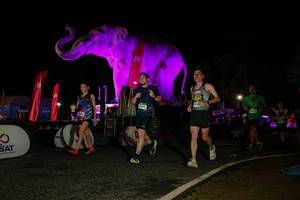 BIB: 
                            <button type="button" onclick="openModal(26534333)" class="btn btn-primary btn-sm float-right btn-popup" data-toggle="modal" data-target=".modal-high-quality">
                        <i class="fas fa-shopping-cart"></i> Add to Cart
                    </button>
                                            <button type="button" onclick="isThisMe(26534333, true)" class="btn btn-success btn-sm float-right btn-popup btn-isme hidden" data-toggle="tooltip" data-placement="bottom" title="นี่คือรูปของคุณใช่ไหม คลิกที่นี่เพื่อเอาเข้าอัลบั้ม">
                        <i class="fas fa-plus"></i> Add to album
                    </button>
                    <button type="button" onclick="isThisMe(26534333, false)" class="btn btn-warning btn-sm float-right btn-popup btn-isnotme hidden">
                        <i class="fas fa-ban"></i> Remove from album
                    </button>